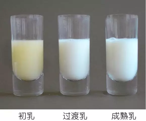 母乳营养成分检测，母乳分析仪的好处您知多少？