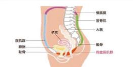 十个女性有九个都不知道产后康复治疗仪的作用