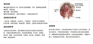 产后恢复中心加盟，做月子不再是一蹴而就