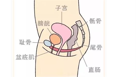 通泽便携产后康复治疗仪，促进产后快速恢复