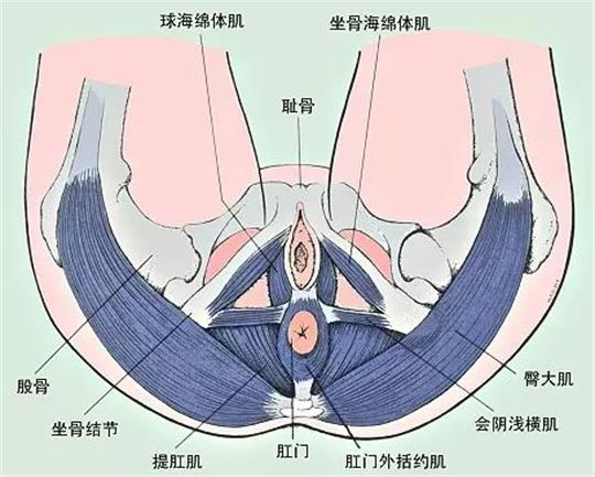 产康门店创业，开展什么产康项目合适呢？