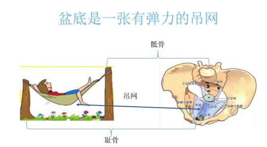 女性盆底康复要及时，否则抱憾终身，妇科盆底康复治疗仪帮到您