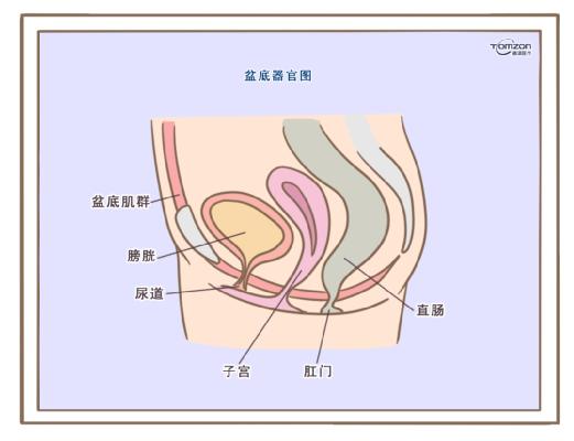 盆底康复治疗仪应该在产后什么时候使用？