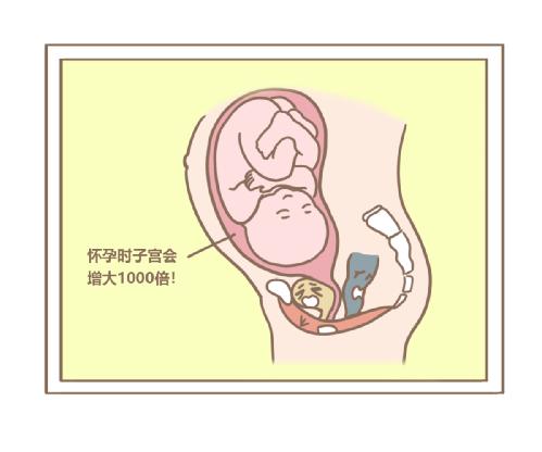 盆底康复治疗仪能不能提升母乳喂养水平？