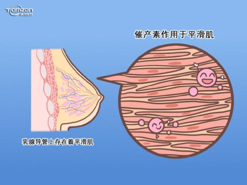  盆底康复仪器对剖宫产的宝妈发生哺乳和子宫复旧问题有帮助