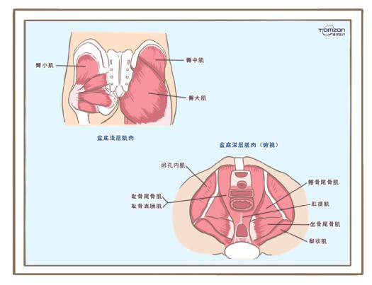 盆底康复治疗仪可以缓解绝经后出现的症状吗？