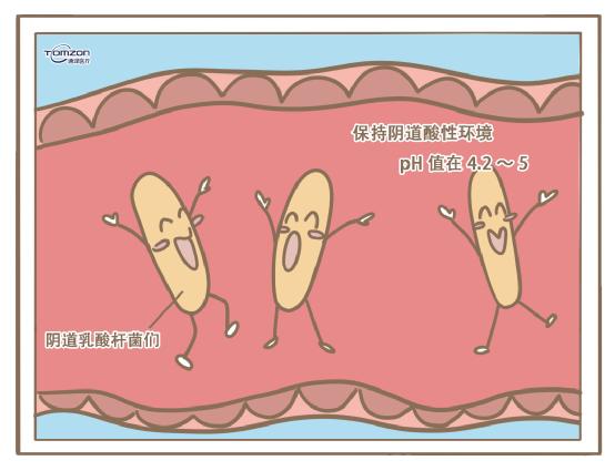 盆底康复治疗仪.jpg