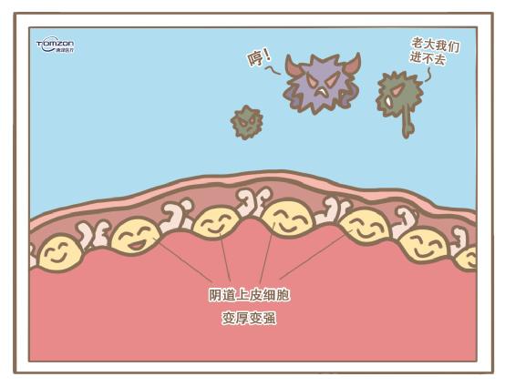 盆底康复治疗仪.jpg