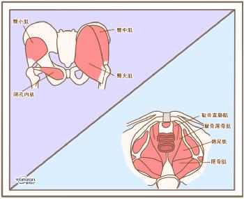 盆底康复仪器